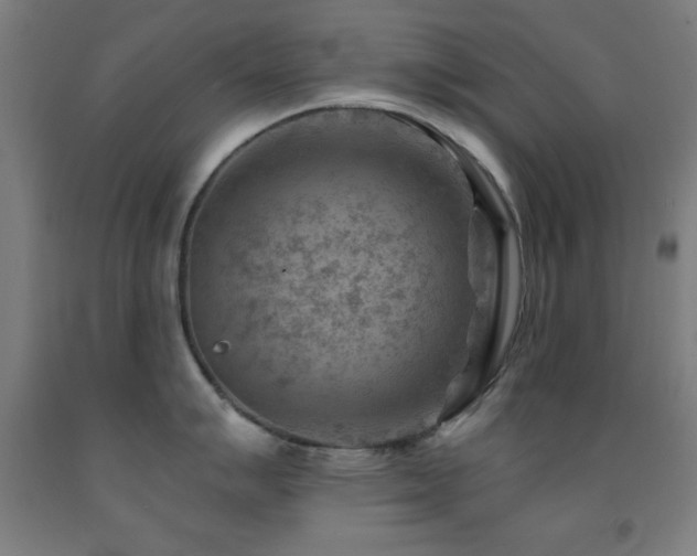 X0000093261007200709261727