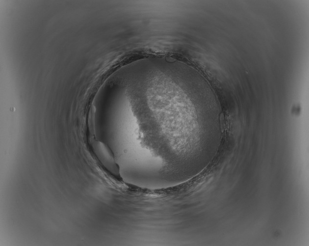 X0000093261009200709261727