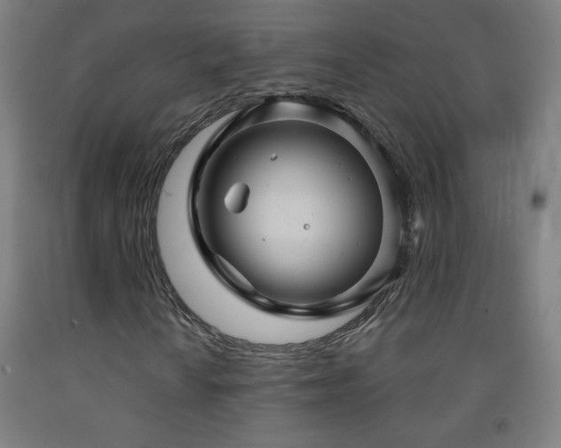 X0000093261010200709261727