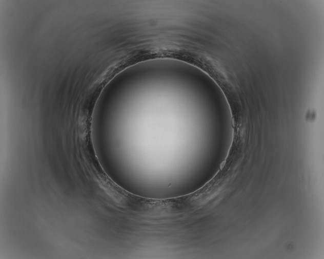 X0000093261012200709261727
