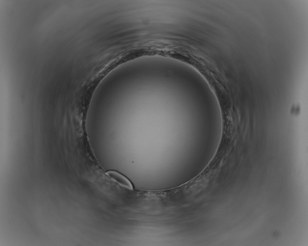 X0000093261013200709261727