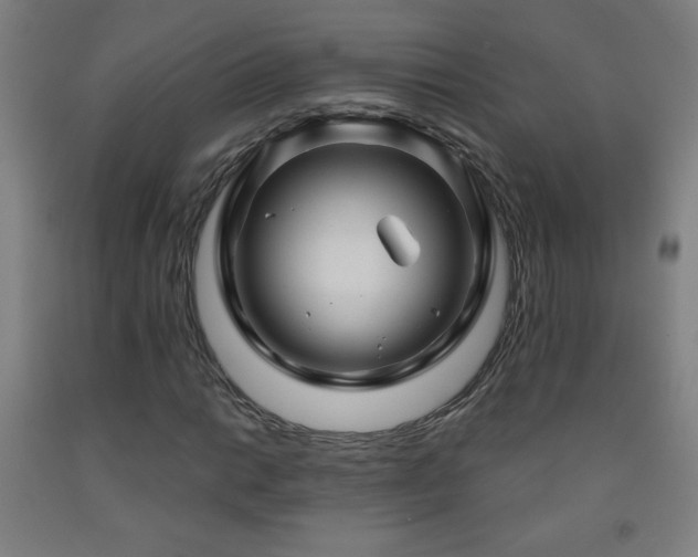 X0000093261014200709261727