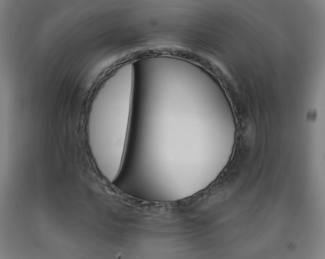 X0000093261016200709261727