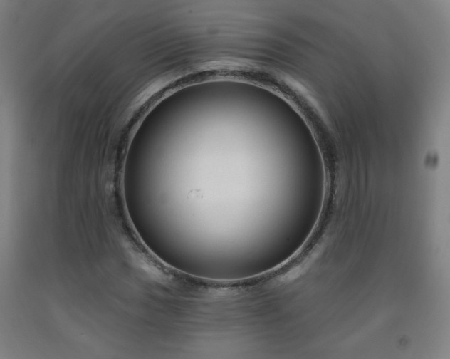 X0000093261017200709261727