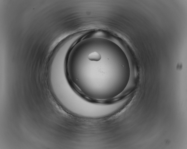 X0000093261018200709261727