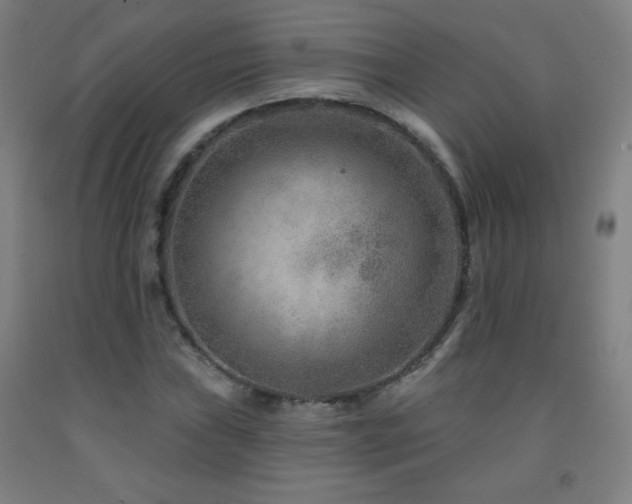X0000093261019200709261727