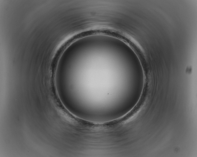 X0000093261021200709261727