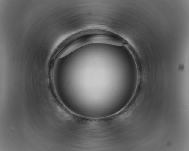 X0000093261022200709261727