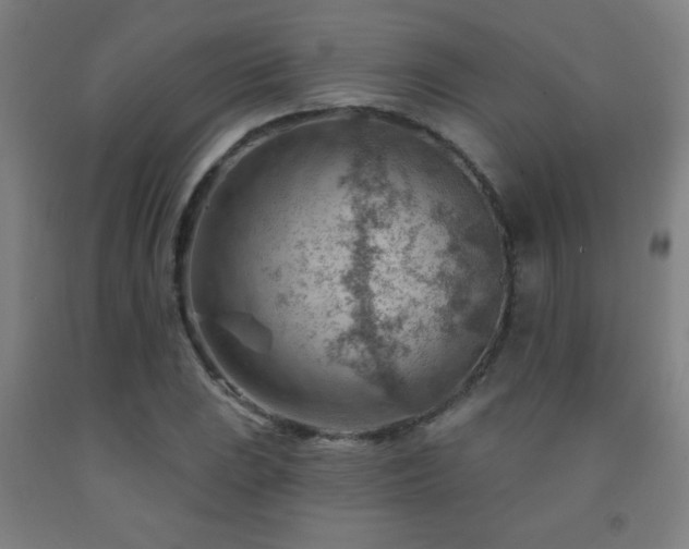 X0000093261023200709261727