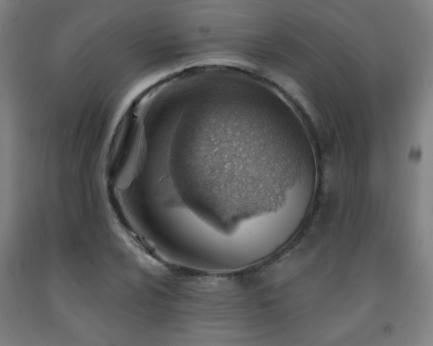 X0000093261024200709261727