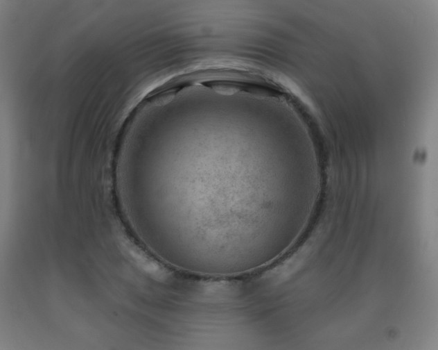 X0000093261025200709261727
