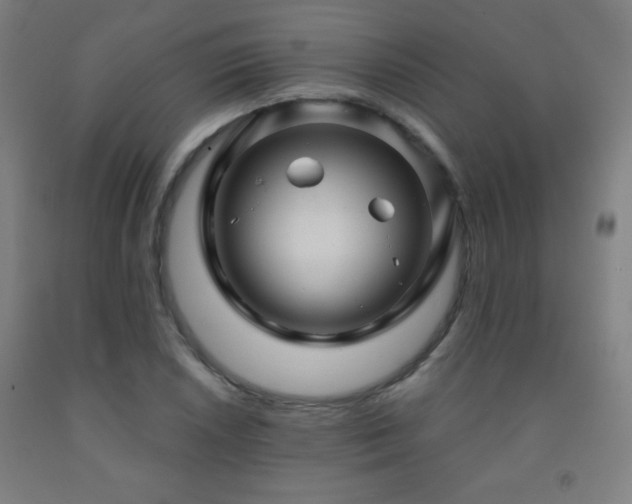 X0000093261026200709261727