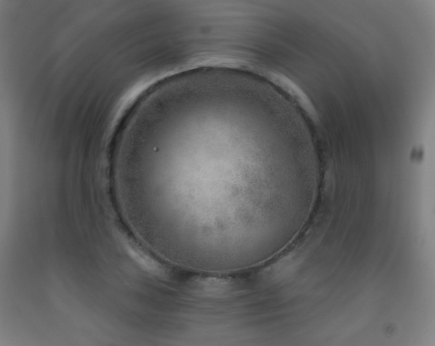 X0000093261027200709261727