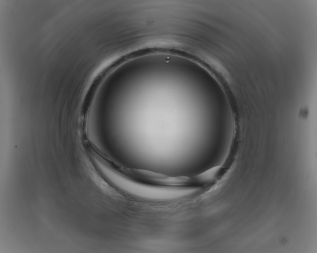 X0000093261029200709261727