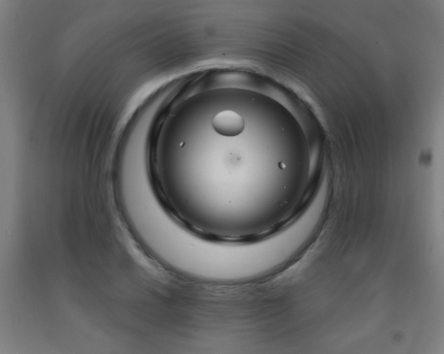X0000093261030200709261727