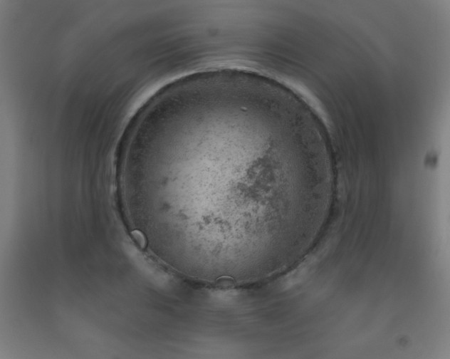 X0000093261031200709261727