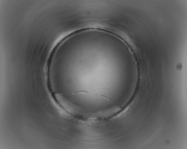 X0000093261032200709261727
