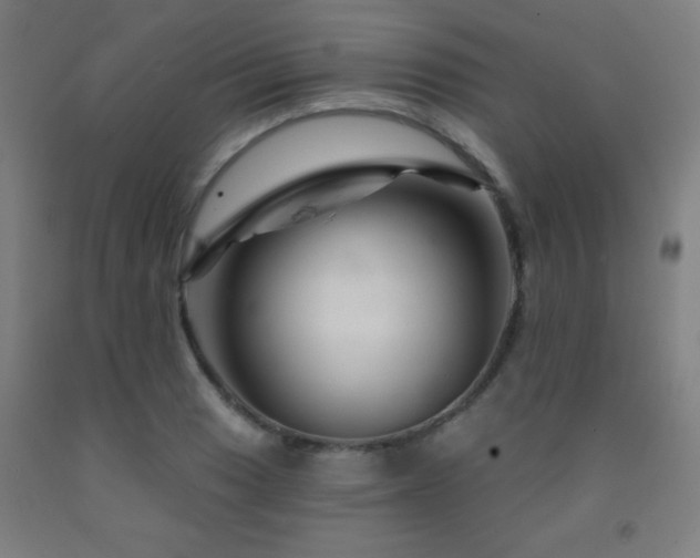 X0000093261033200709261727