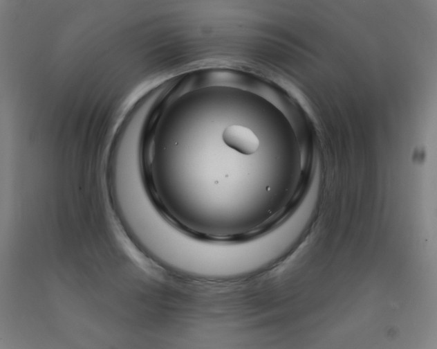 X0000093261034200709261727