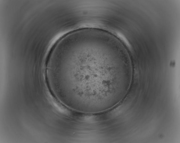 X0000093261035200709261727