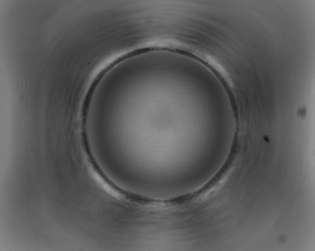 X0000093261037200709261727