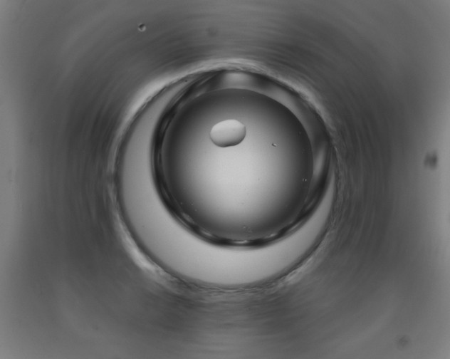 X0000093261038200709261727