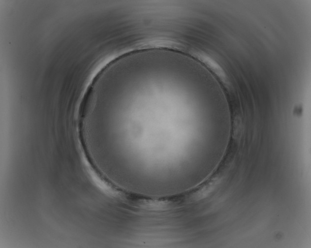 X0000093261039200709261727