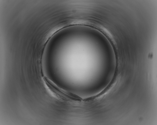 X0000093261041200709261727