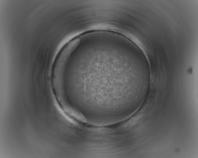 X0000093261045200709261727