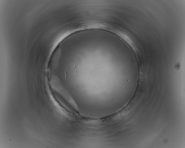 X0000093261047200709261727