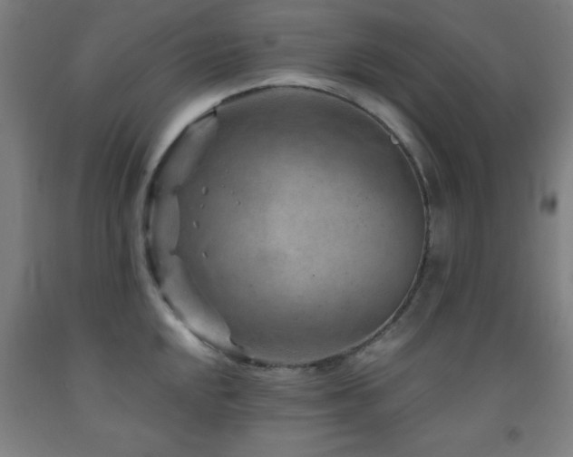 X0000093261048200709261727