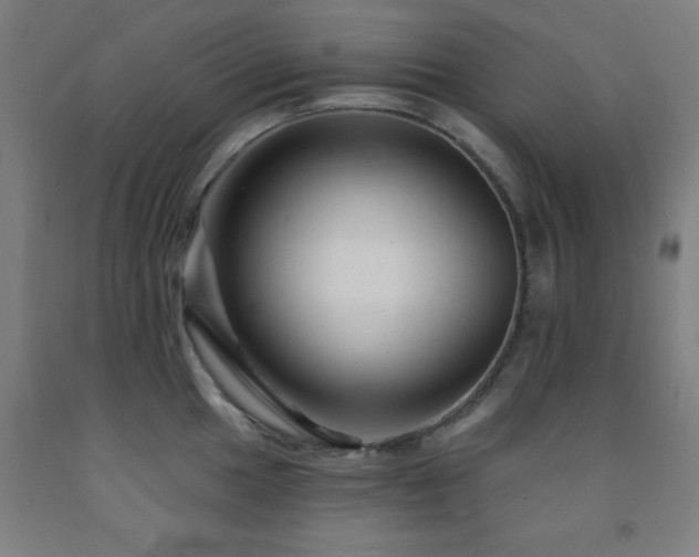 X0000093261049200709261727