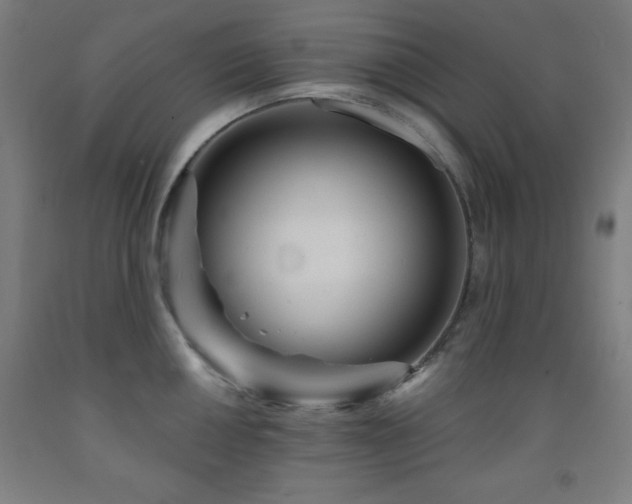 X0000093261050200709261727