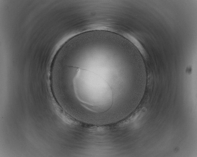 X0000093261051200709261727
