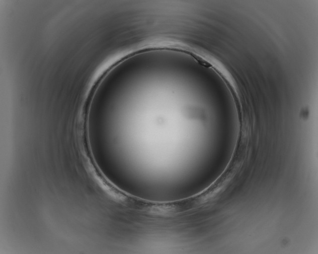 X0000093261053200709261727