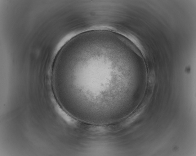 X0000093261054200709261727