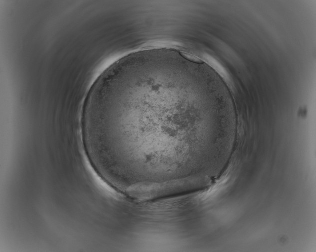 X0000093261055200709261727