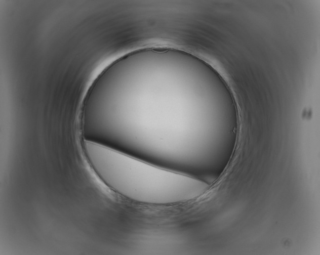 X0000093261056200709261727