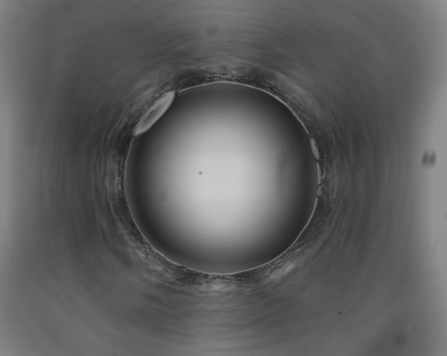 X0000093261058200709261727