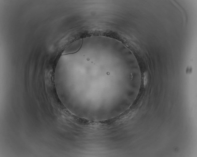 X0000093261059200709261727