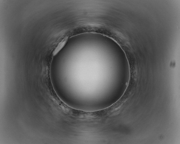 X0000093261061200709261727