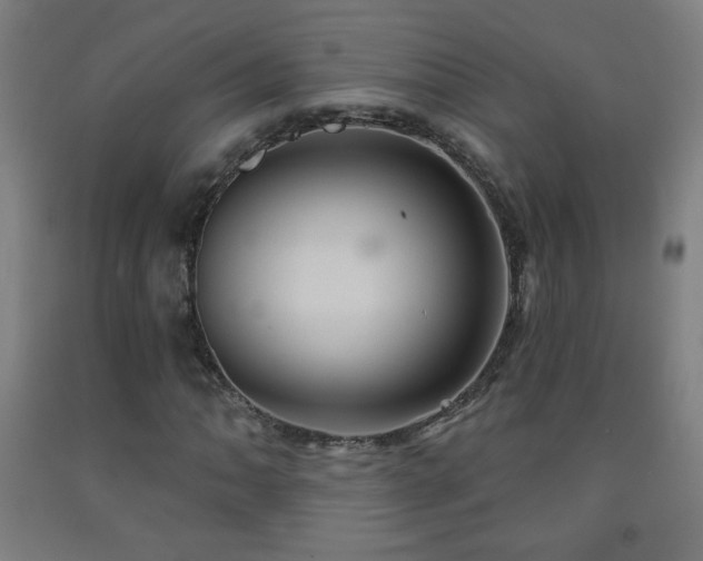 X0000093261062200709261727