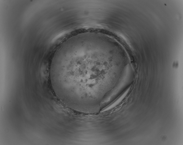 X0000093261063200709261727