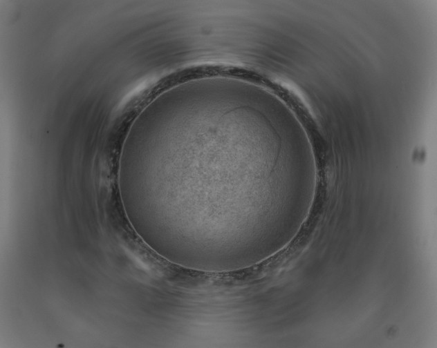 X0000093261064200709261727
