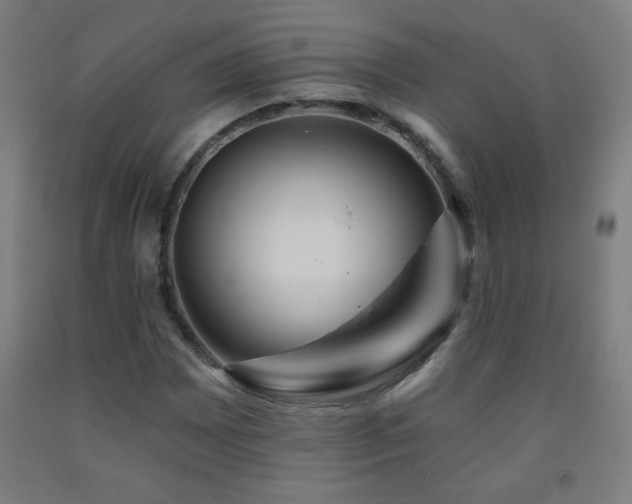 X0000093261065200709261727