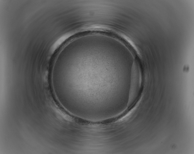 X0000093261066200709261727