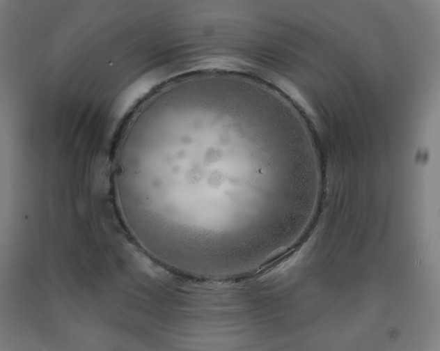 X0000093261067200709261727