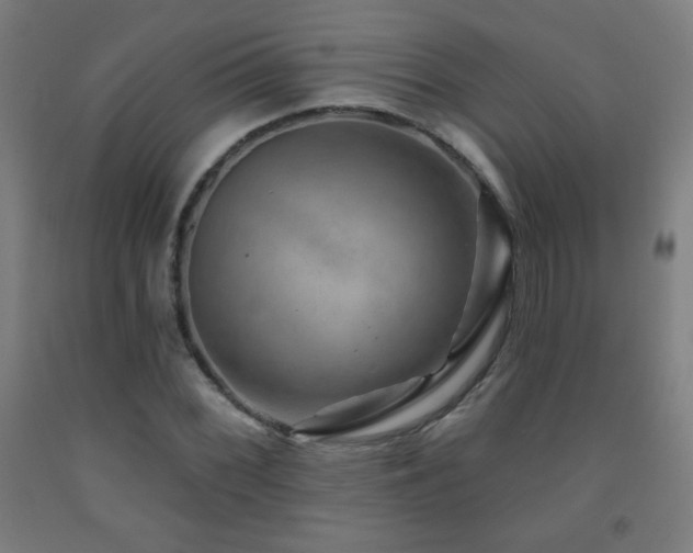X0000093261068200709261726