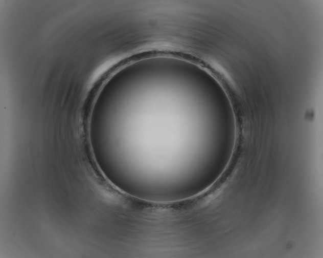 X0000093261070200709261726