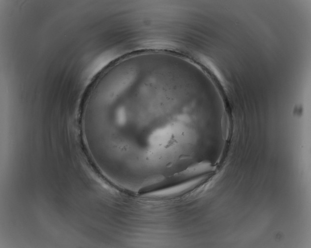X0000093261071200709261726